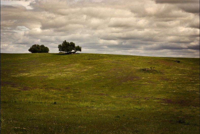 An Alentejo Landscape